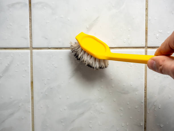 Best Certified Mold Removal  in Jeffersonville, IN